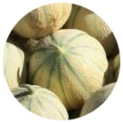 Melons